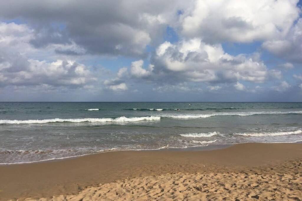 Beach Dream Apartment La Mata  Eksteriør billede