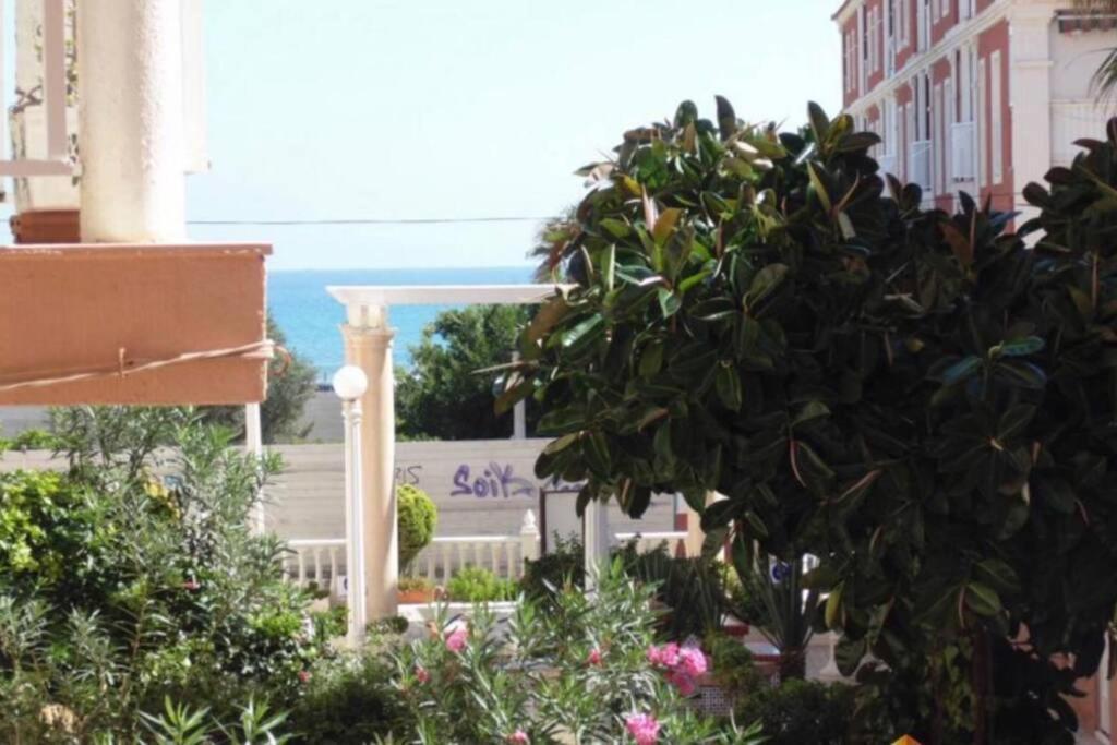Beach Dream Apartment La Mata  Eksteriør billede